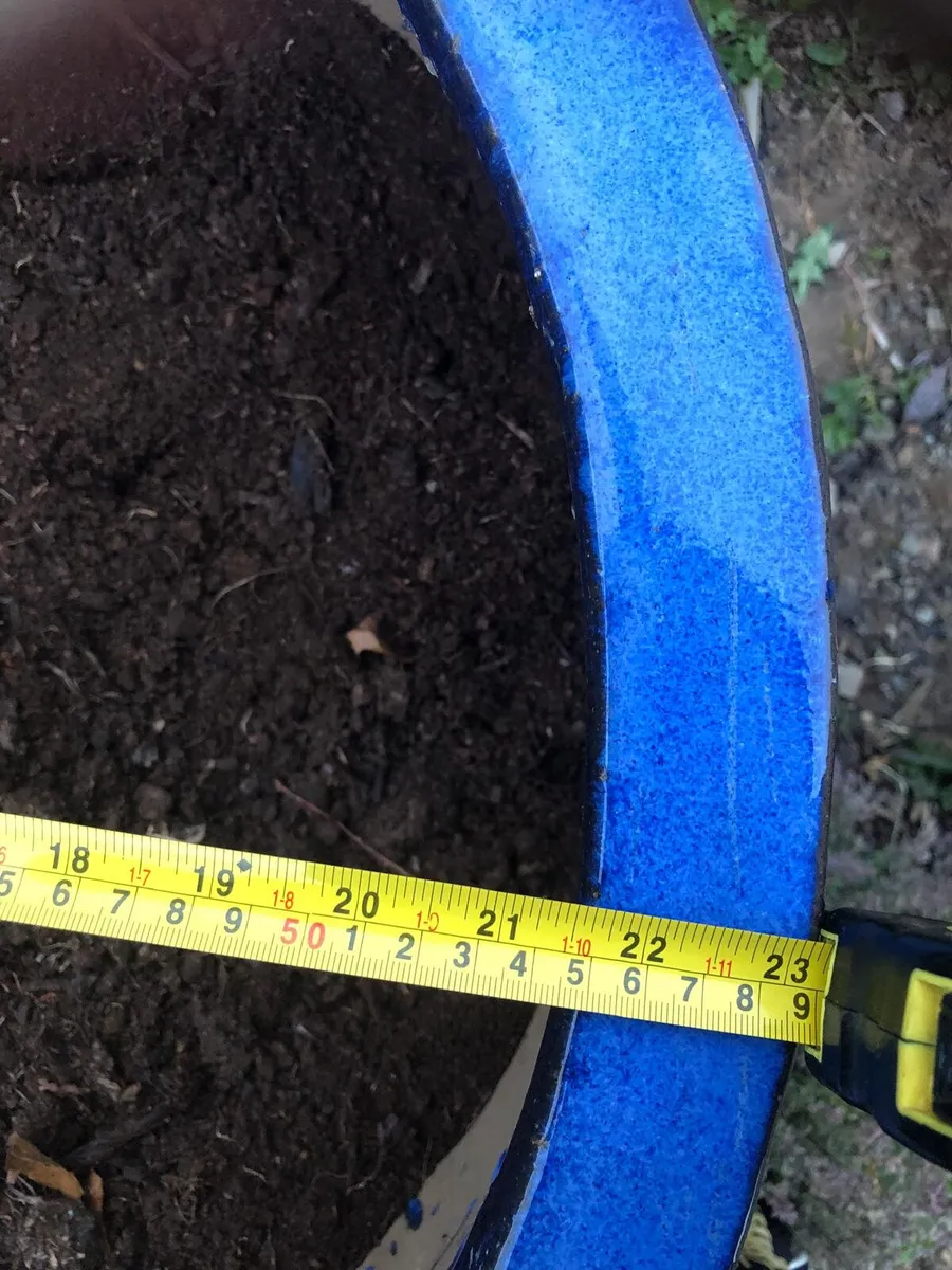 Flower pots - Image 3