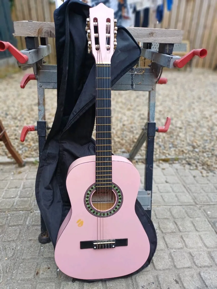 Herald HL34 Beginners Guitar - Image 1