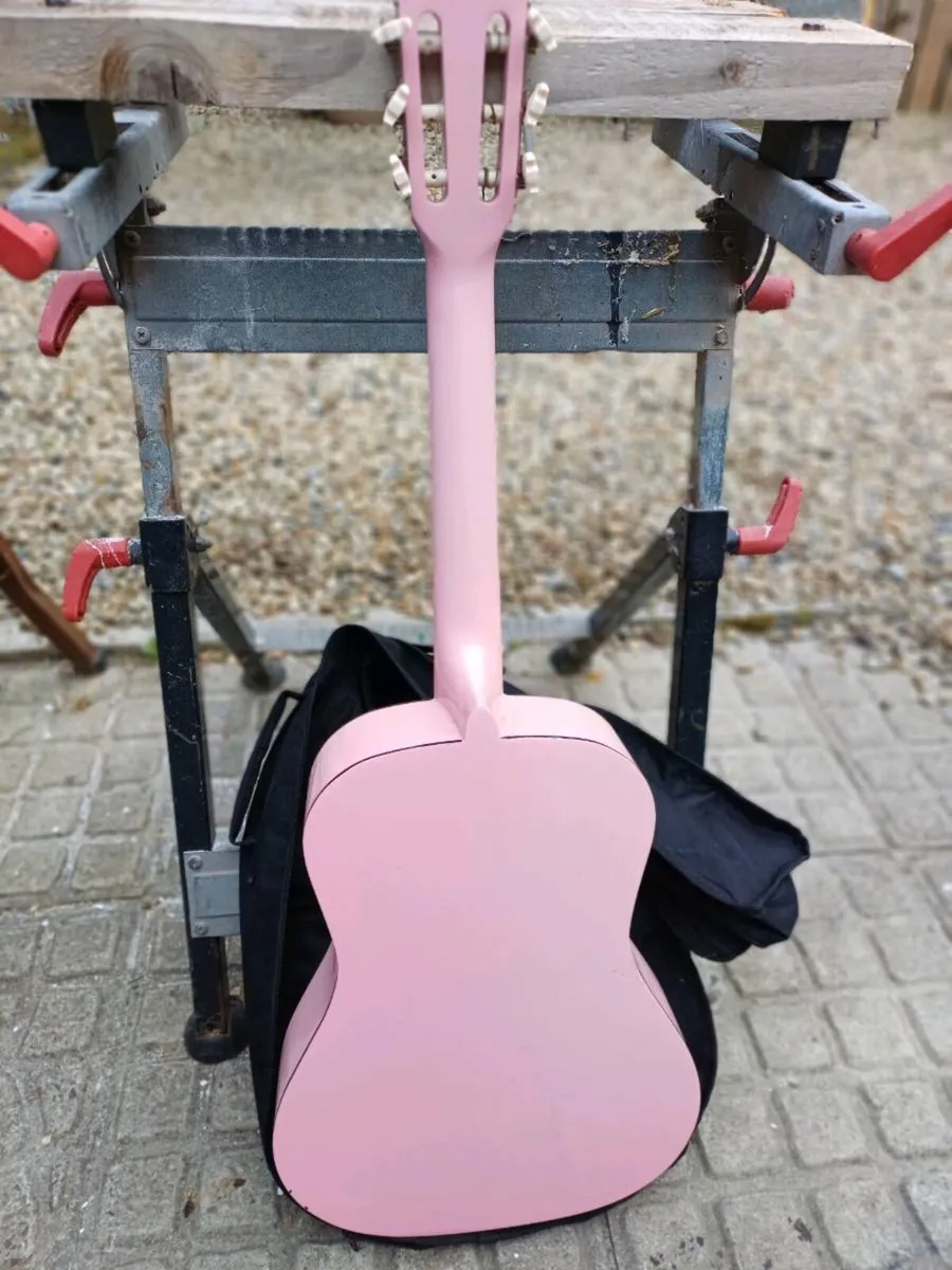 Herald HL34 Beginners Guitar - Image 2