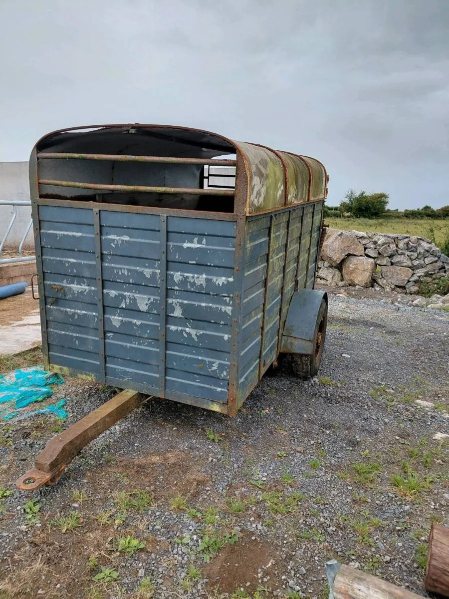Cattle trailer - Image 2