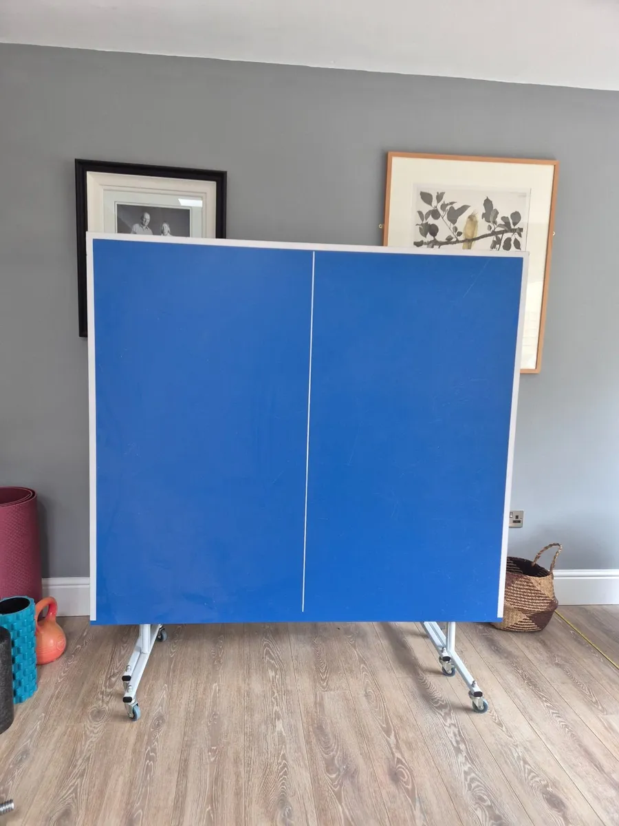Table Tennis table