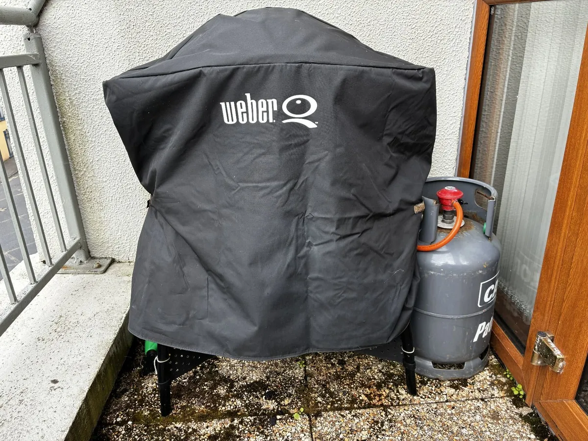 Weber Q-2000 BBQ  with Stand - Image 2