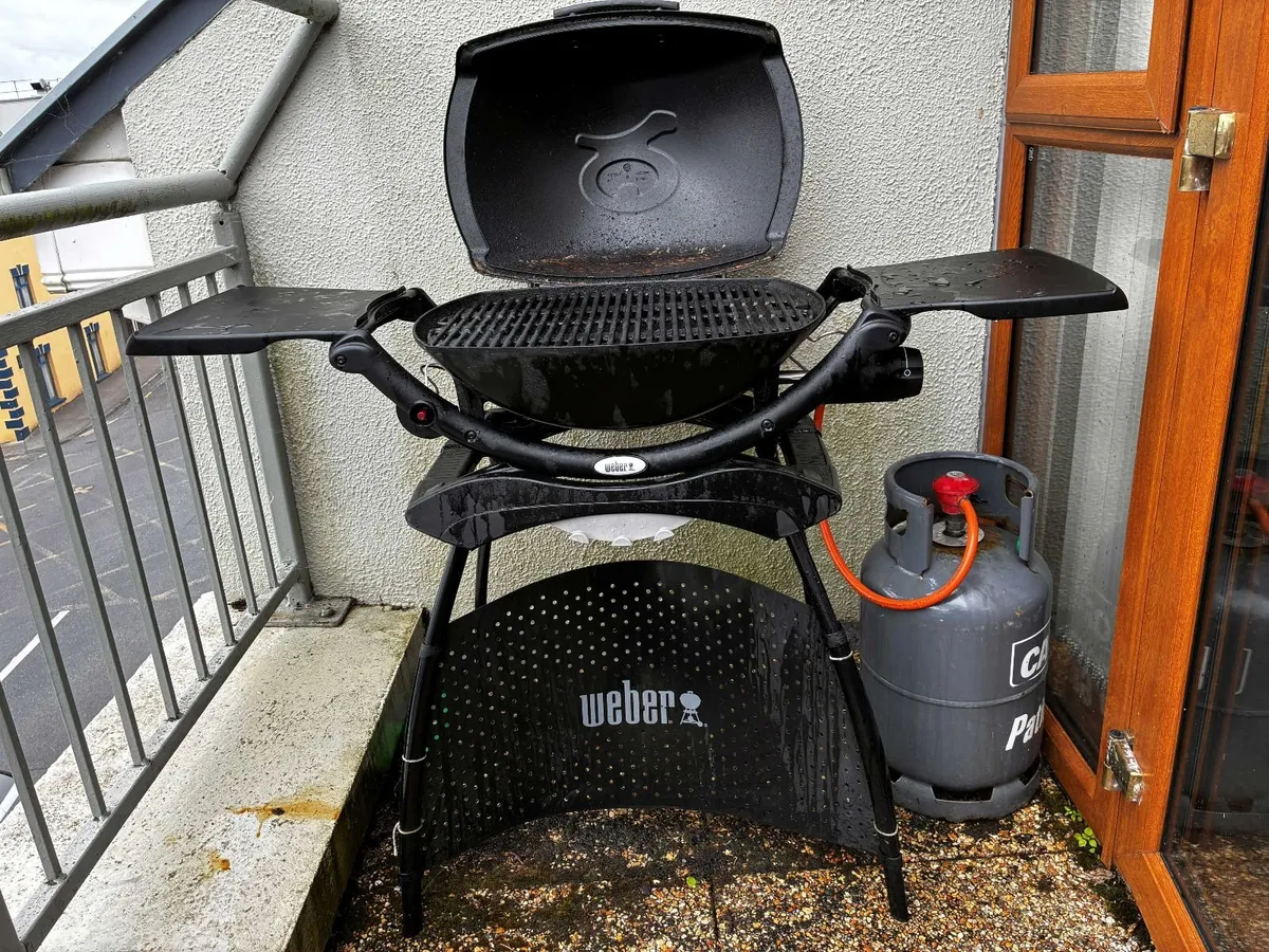 Weber Q-2000 BBQ  with Stand - Image 1