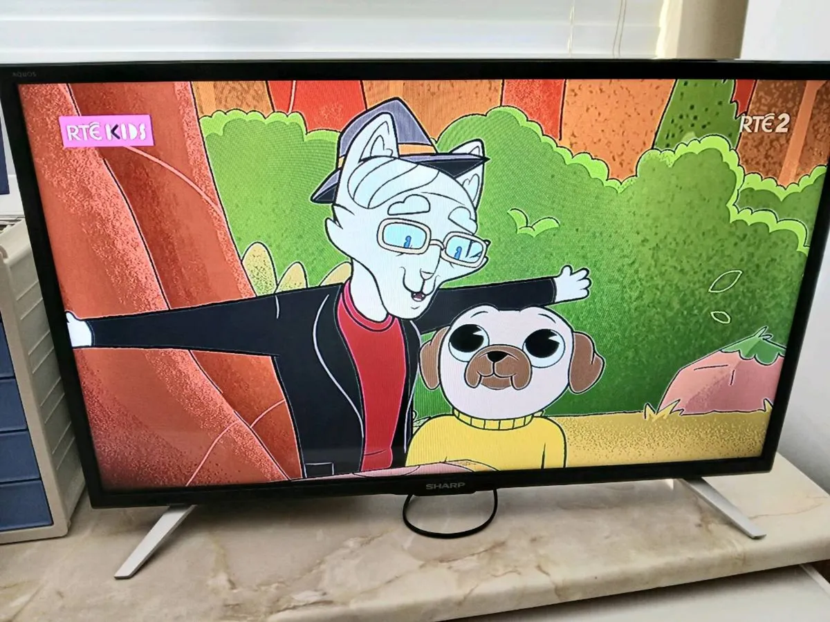 Sharp 32inch hdmi Saorview tv with dvd built in. - Image 3