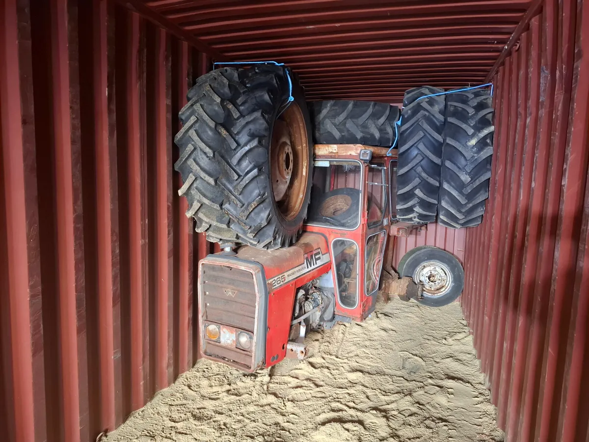 !!! MF TRACTORS WANTED !!! - Image 3
