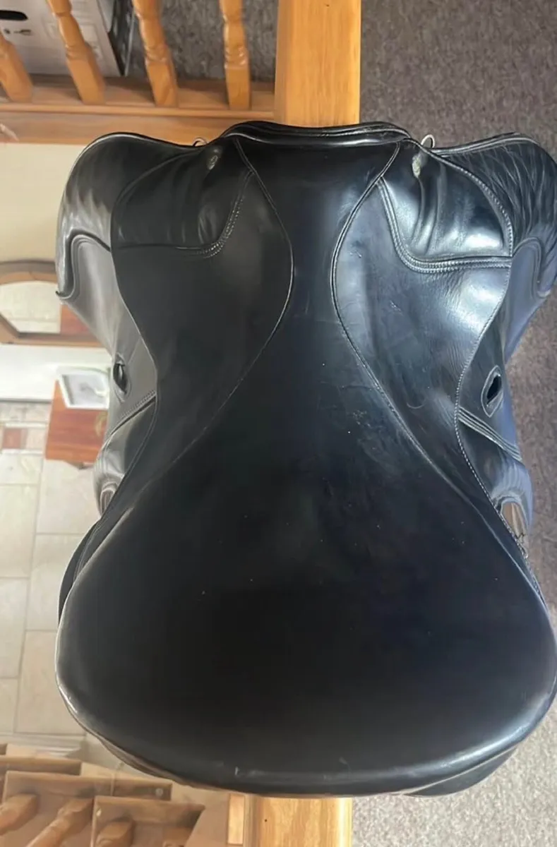 Antill 17.5” saddle - Image 4