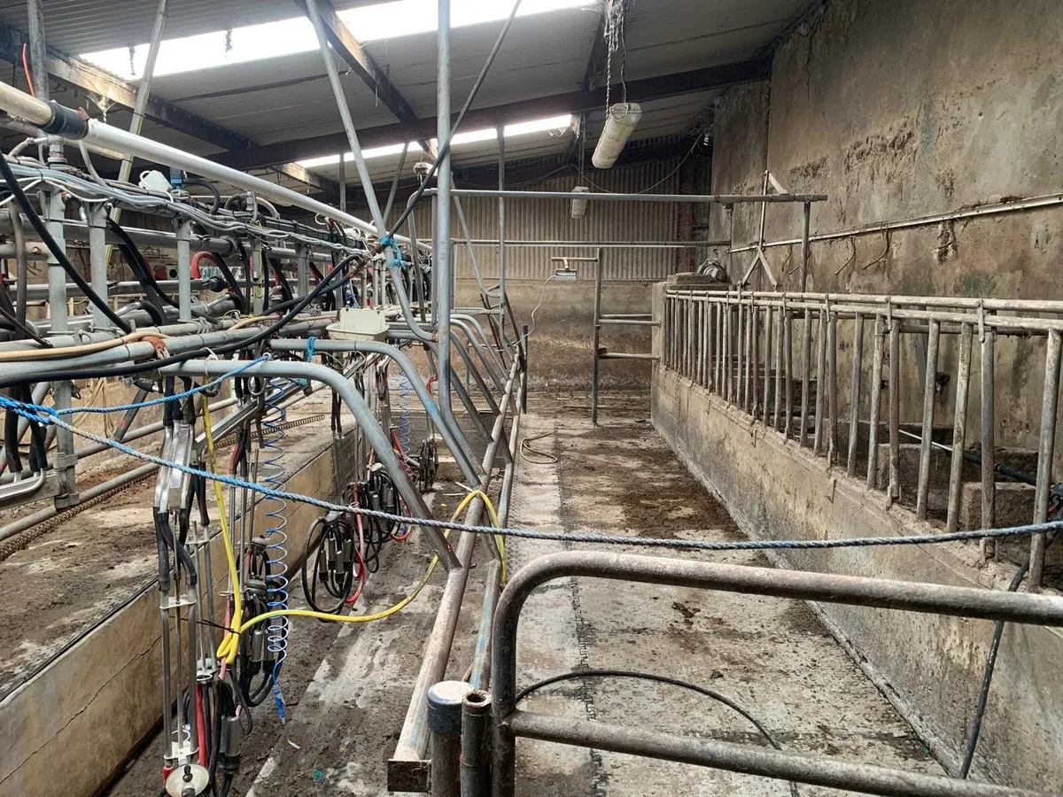 12 unit senior milking parlor - Image 2