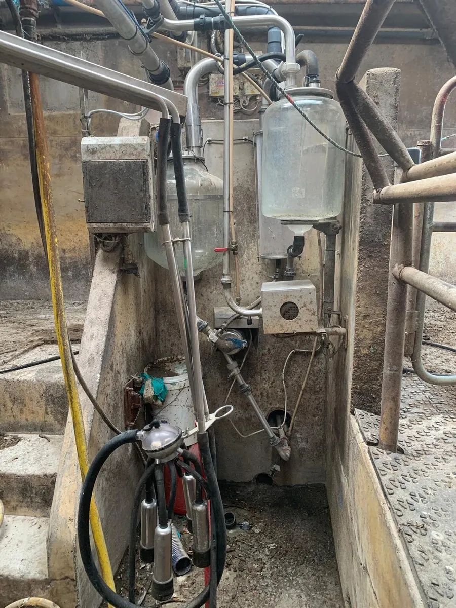 12 unit senior milking parlor - Image 3