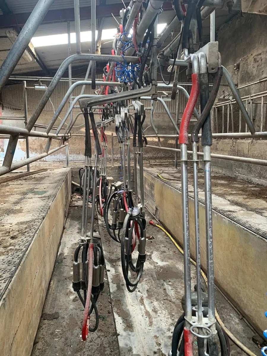 12 unit senior milking parlor - Image 4