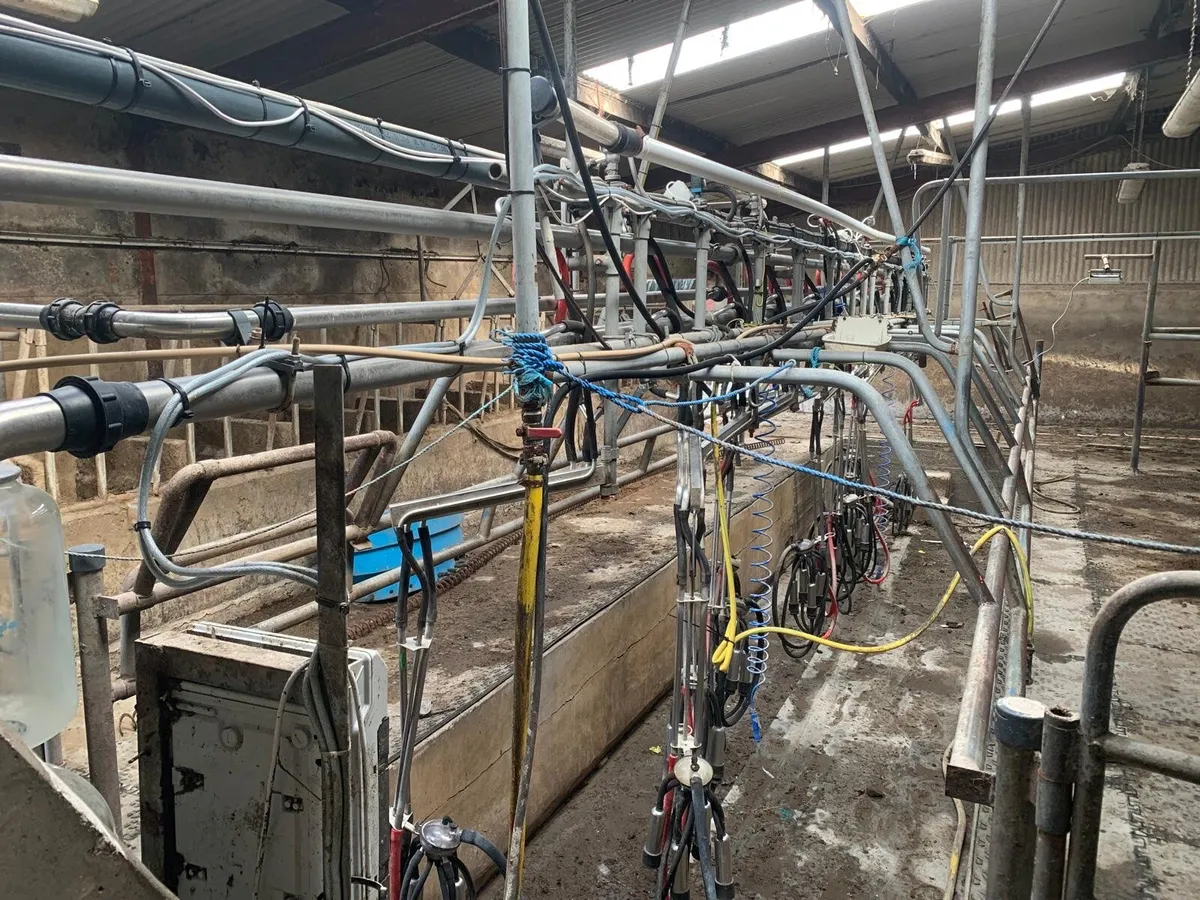 12 unit senior milking parlor - Image 1