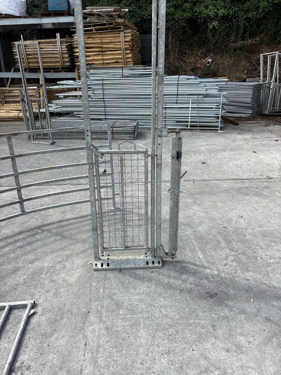 Selection of sheep handling equipment - Image 2