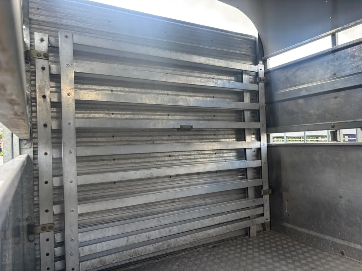 nugent 12ft livestock trailer - Image 4
