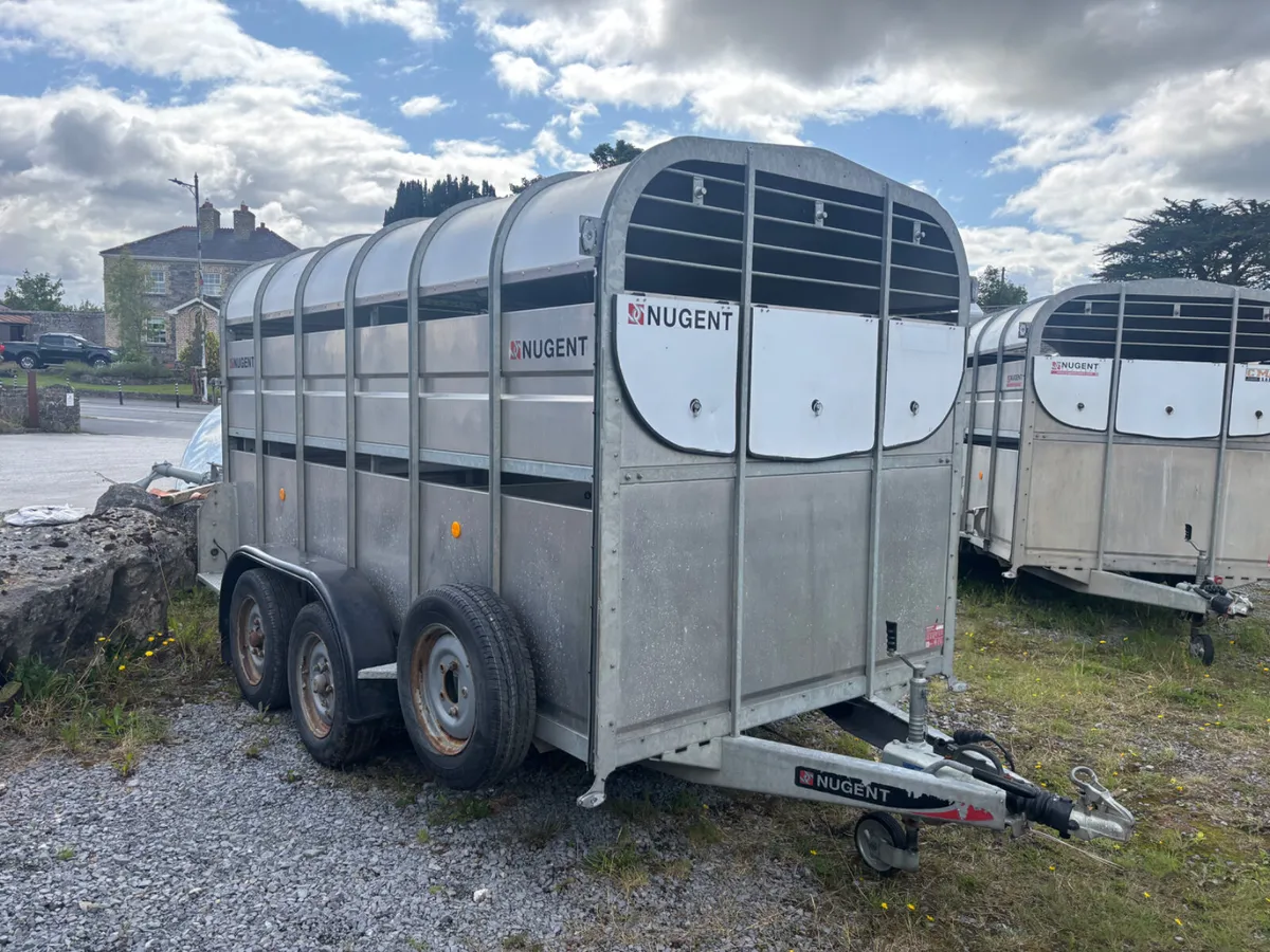 nugent 12ft livestock trailer - Image 2