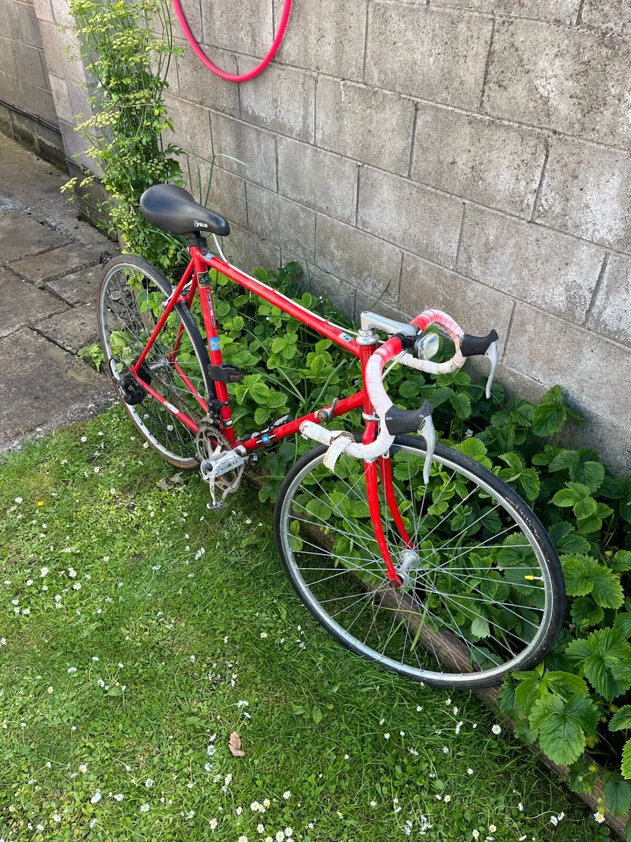 Reynolds 501 - Image 1
