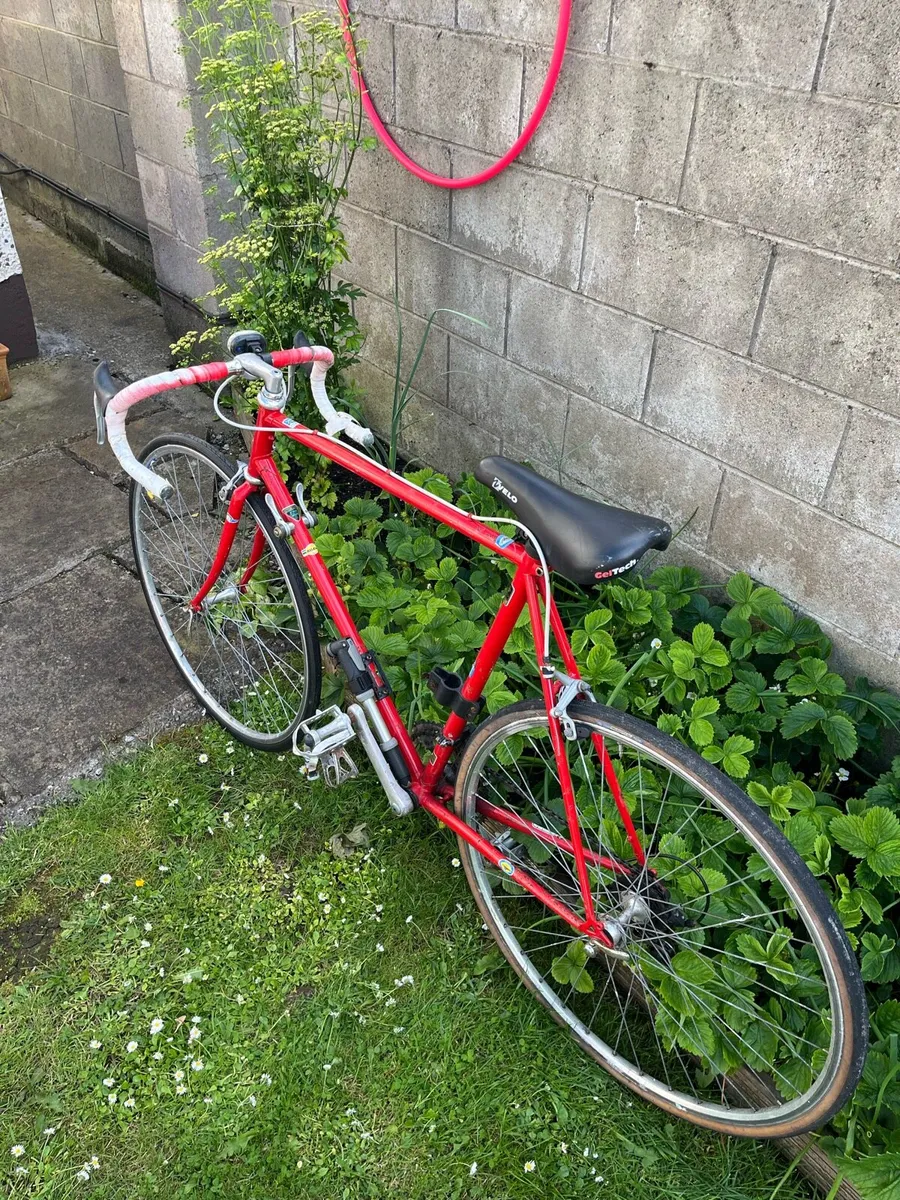 Reynolds 501 - Image 2
