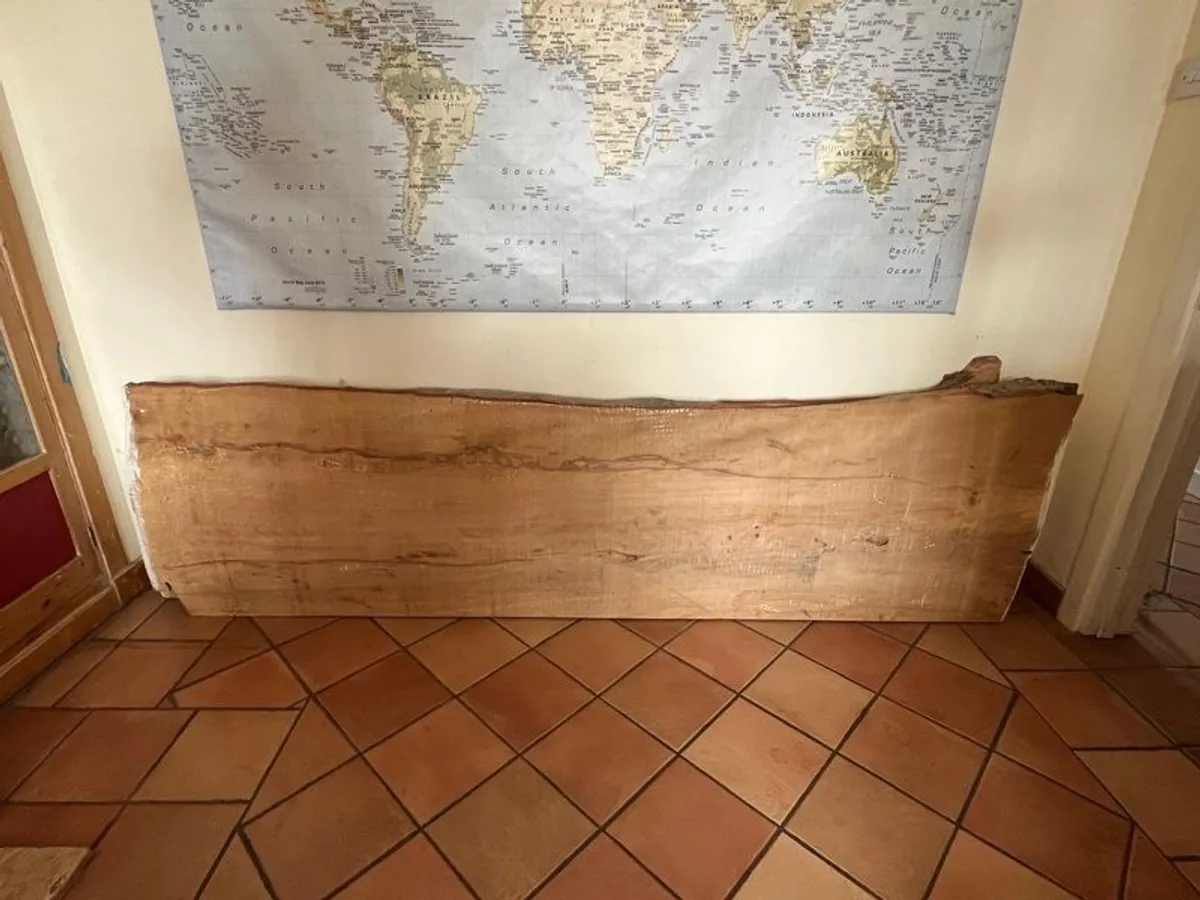 2 Live Edge Beech slabs from Co Wicklow - Image 2