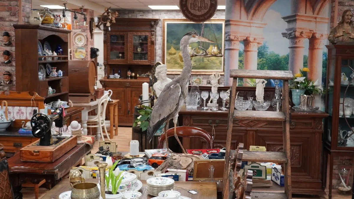 Vintage Taxidermy Grey Heron - Image 1
