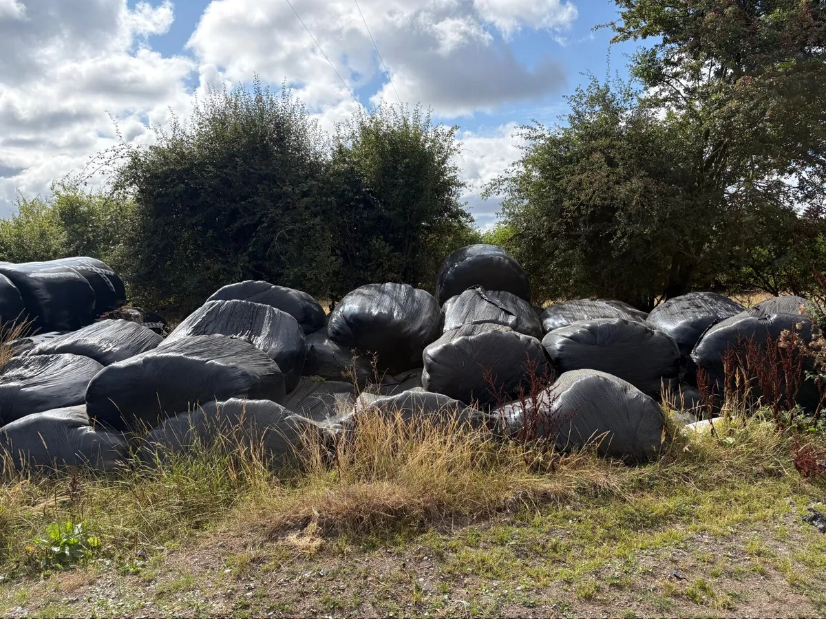 Silage - Image 1