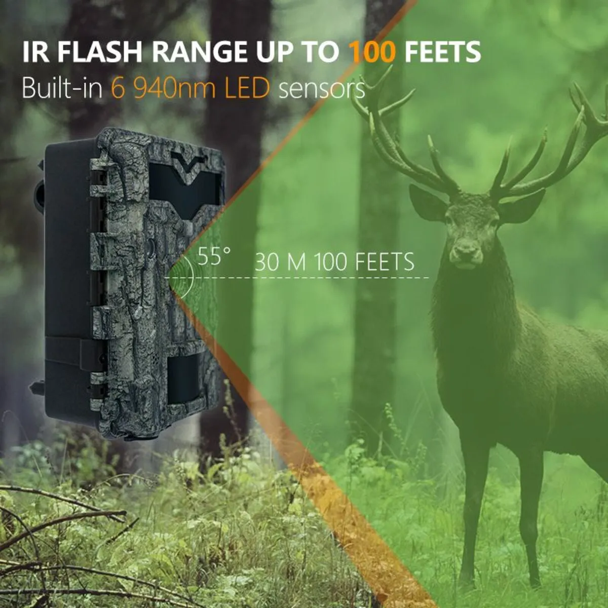 Trail Camera - Image 3