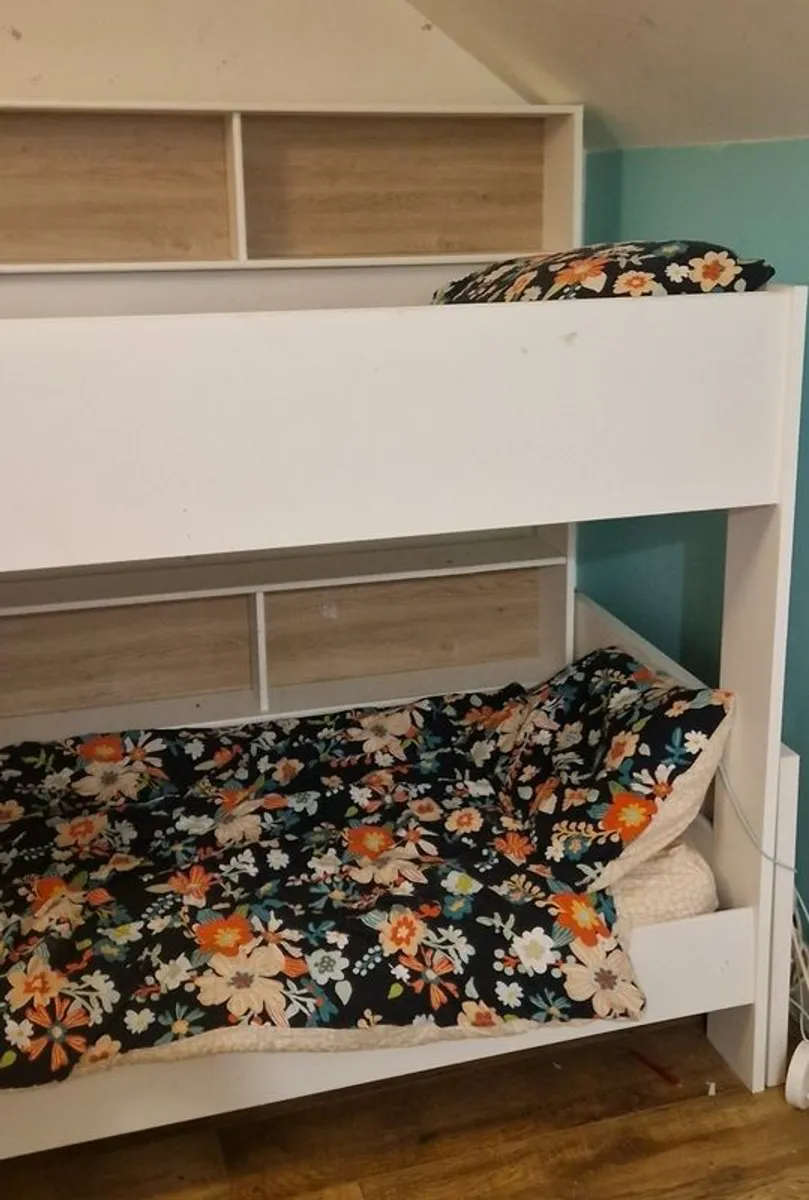 Parisot LEO Bunk Bed with Built-In Storage/Shelving - Image 2
