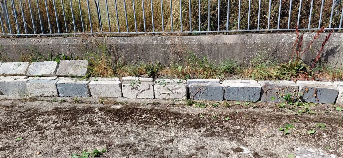 Builders Solid Concrete Blocks - Image 2