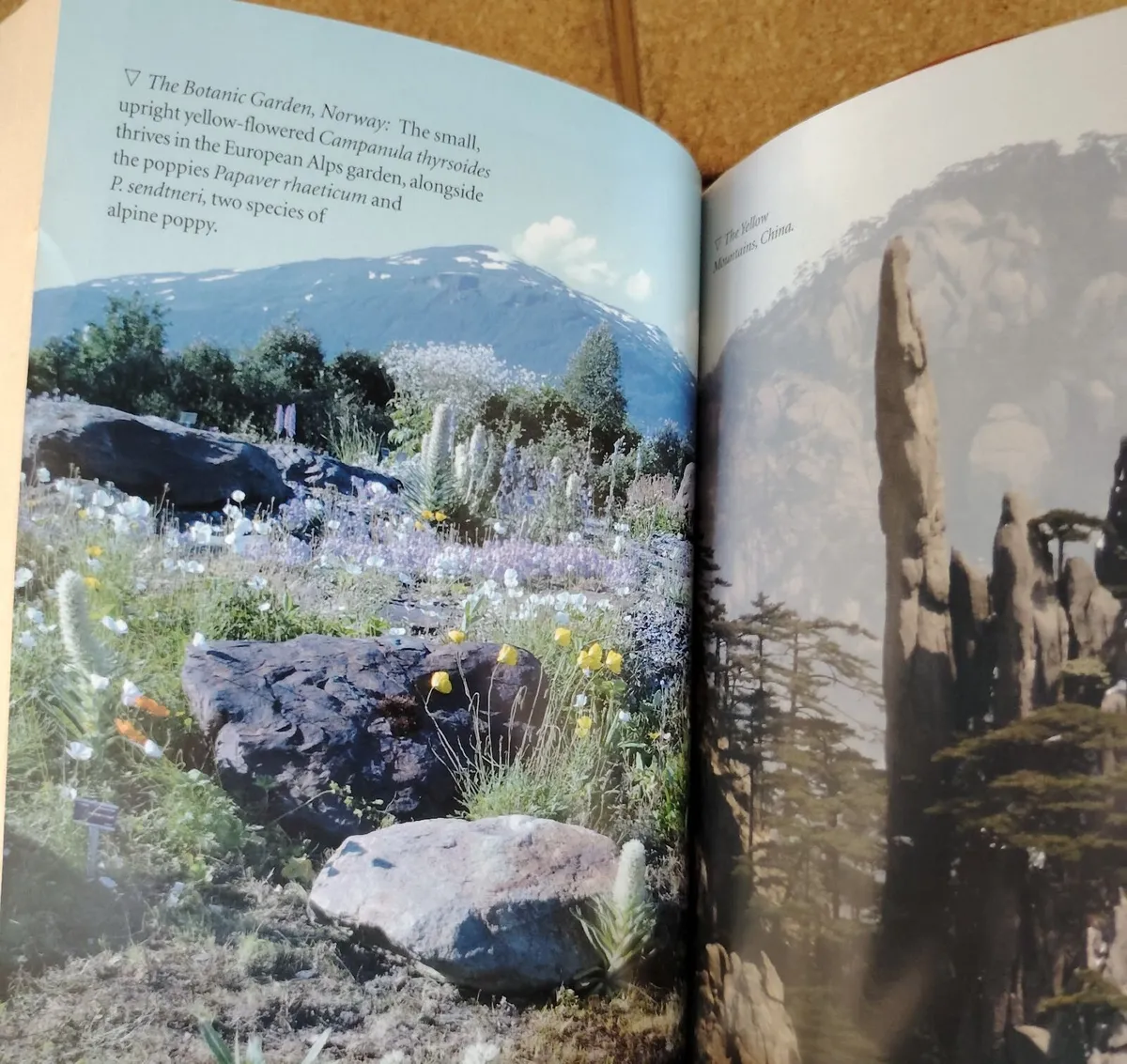 Around the World in 80 Gardens by Monty Don - Image 4