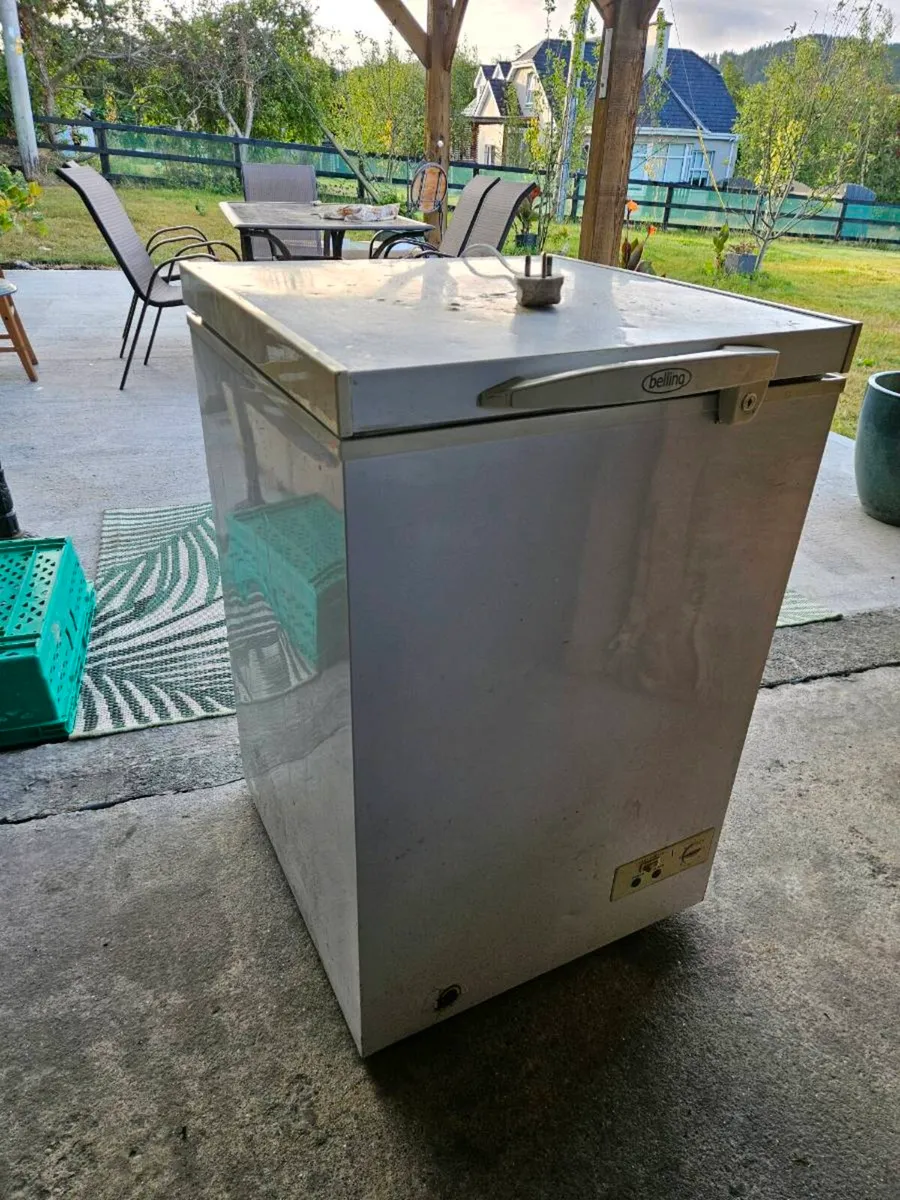 Chest freezer - Image 1