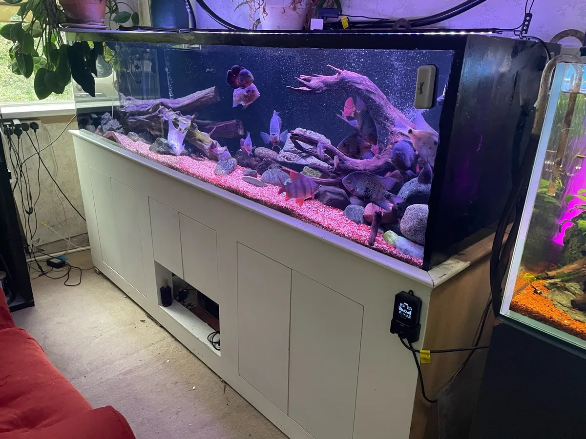 Fish tank 8x2x2 1000 litre - Image 1