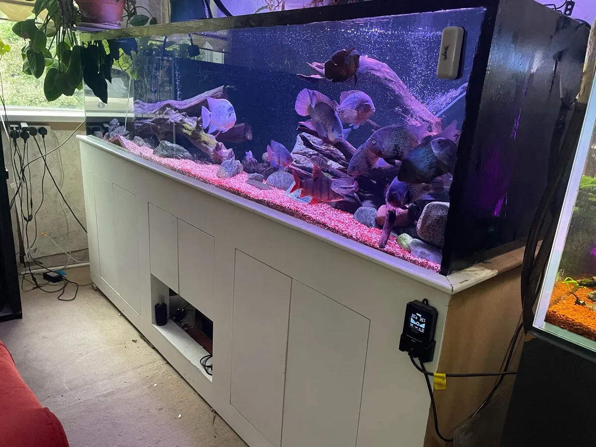 Fish tank 8x2x2 1000 litre - Image 2