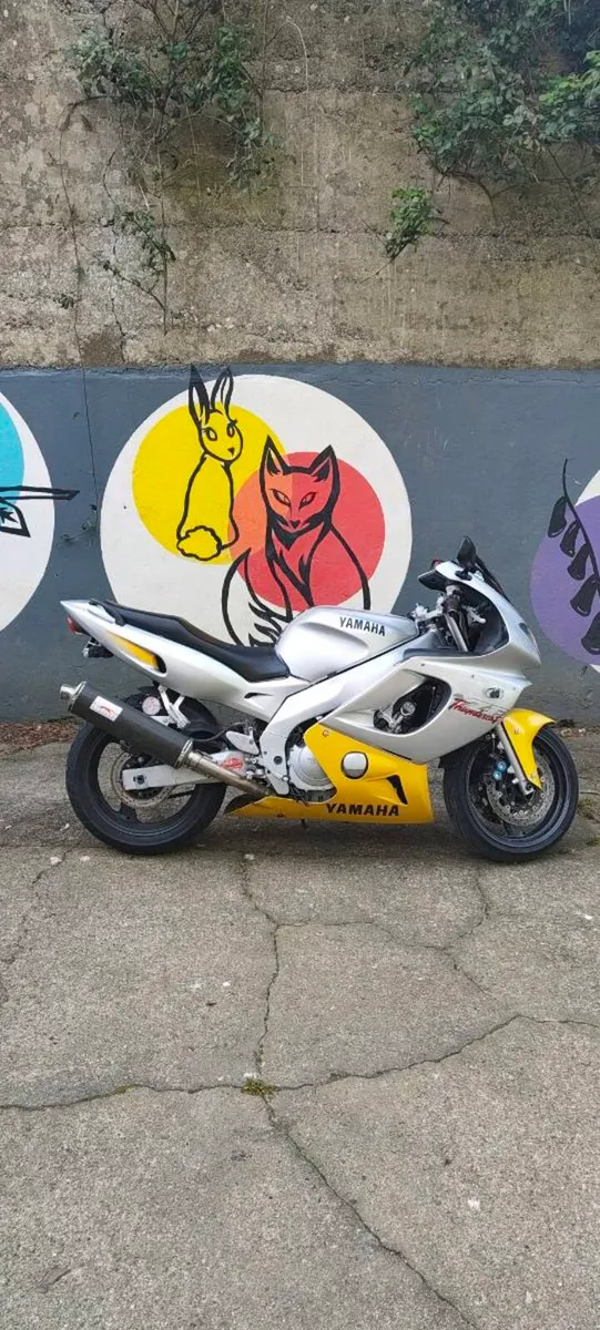 Yamaha thundercat - Image 1