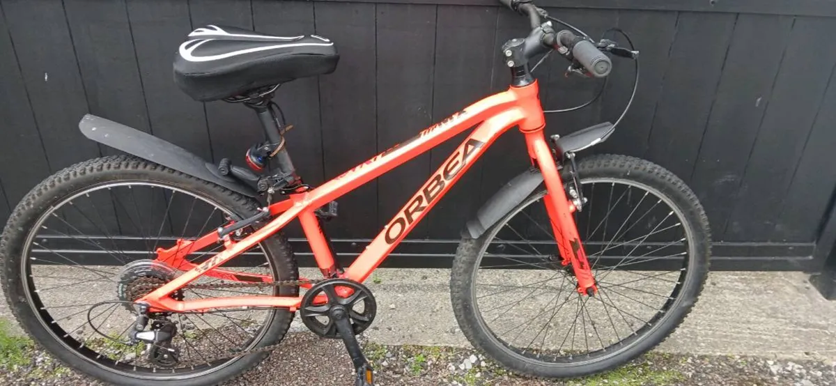 Childs bike - Image 1