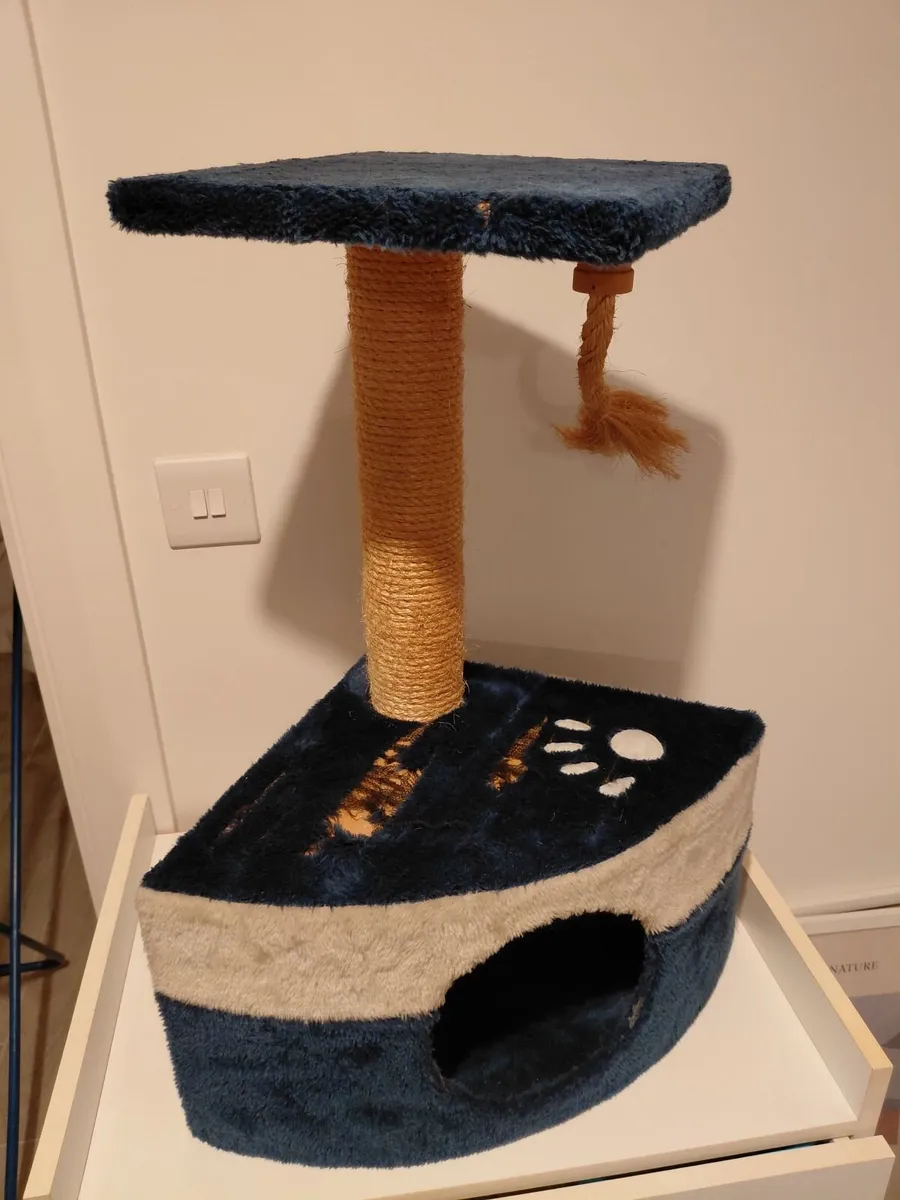 Cat accessories - see all pics - Image 4