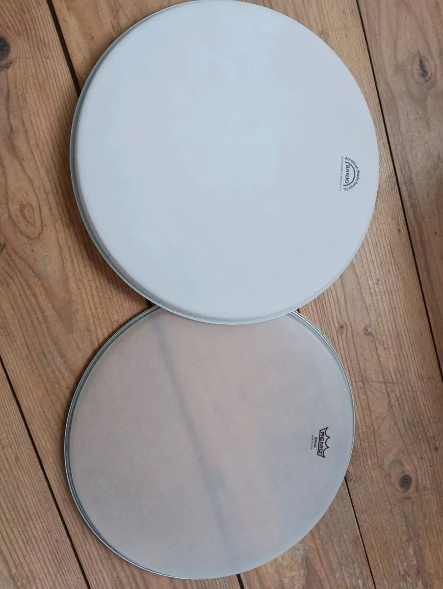 Banjo Heads