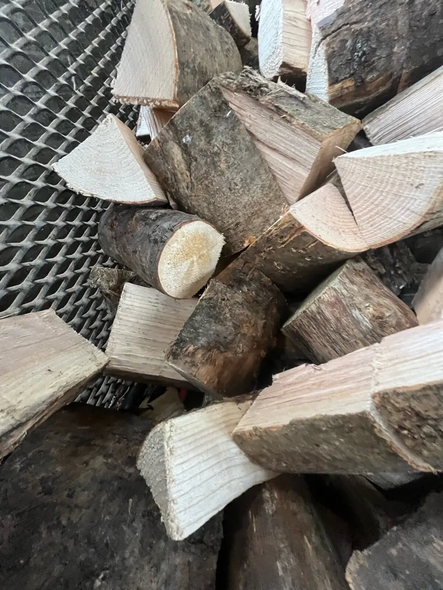 Firewood - Image 2
