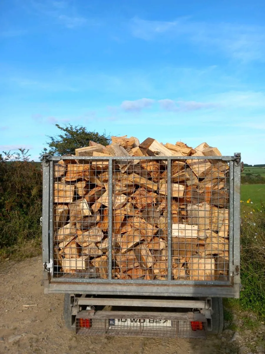 Firewood 8x5x4 bulk load - Image 4