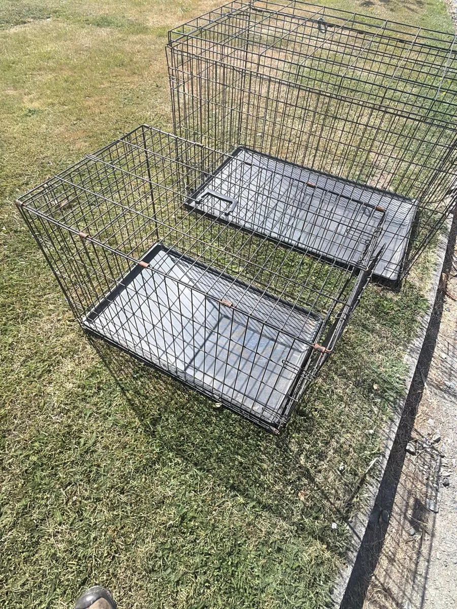 Dog cage - Image 1
