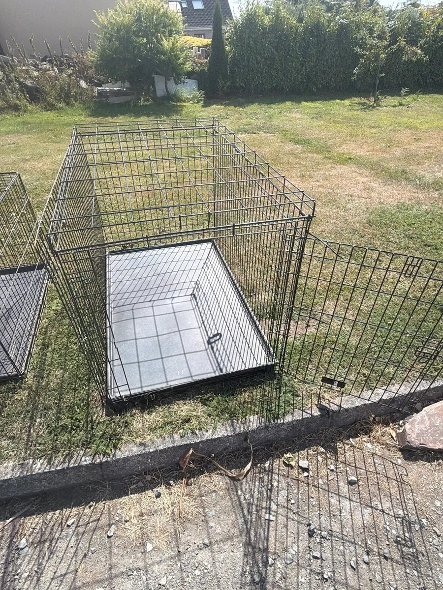 Dog cage - Image 2