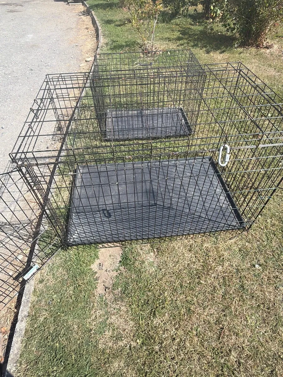 Dog cage - Image 4