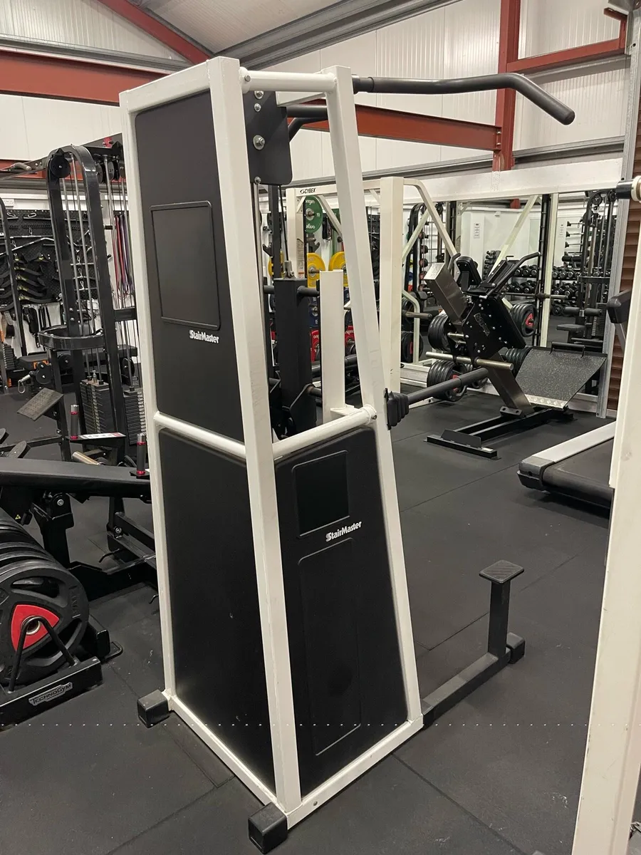 Stairmaster Assisted Dip & Pull Up Machine - Image 2