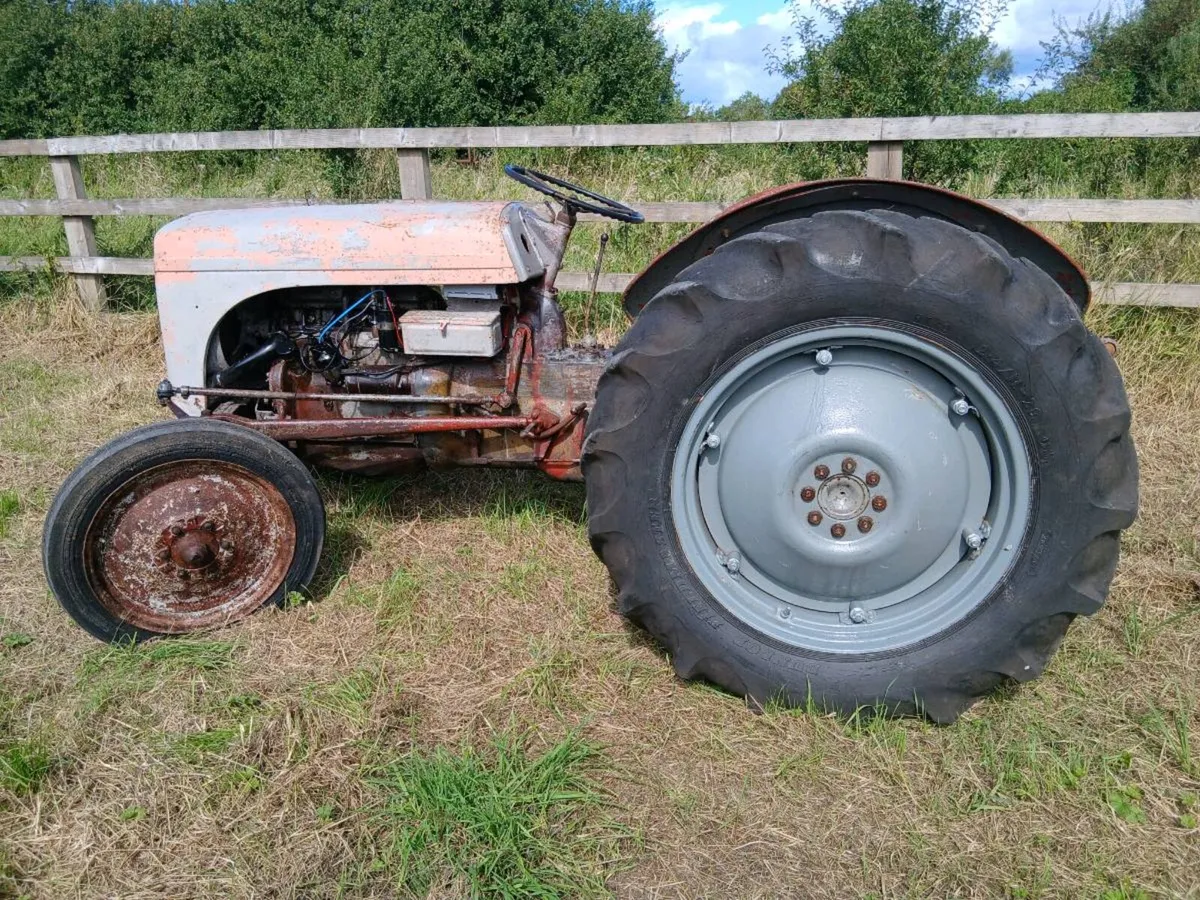 Ferguson 20 Contiental - Image 2