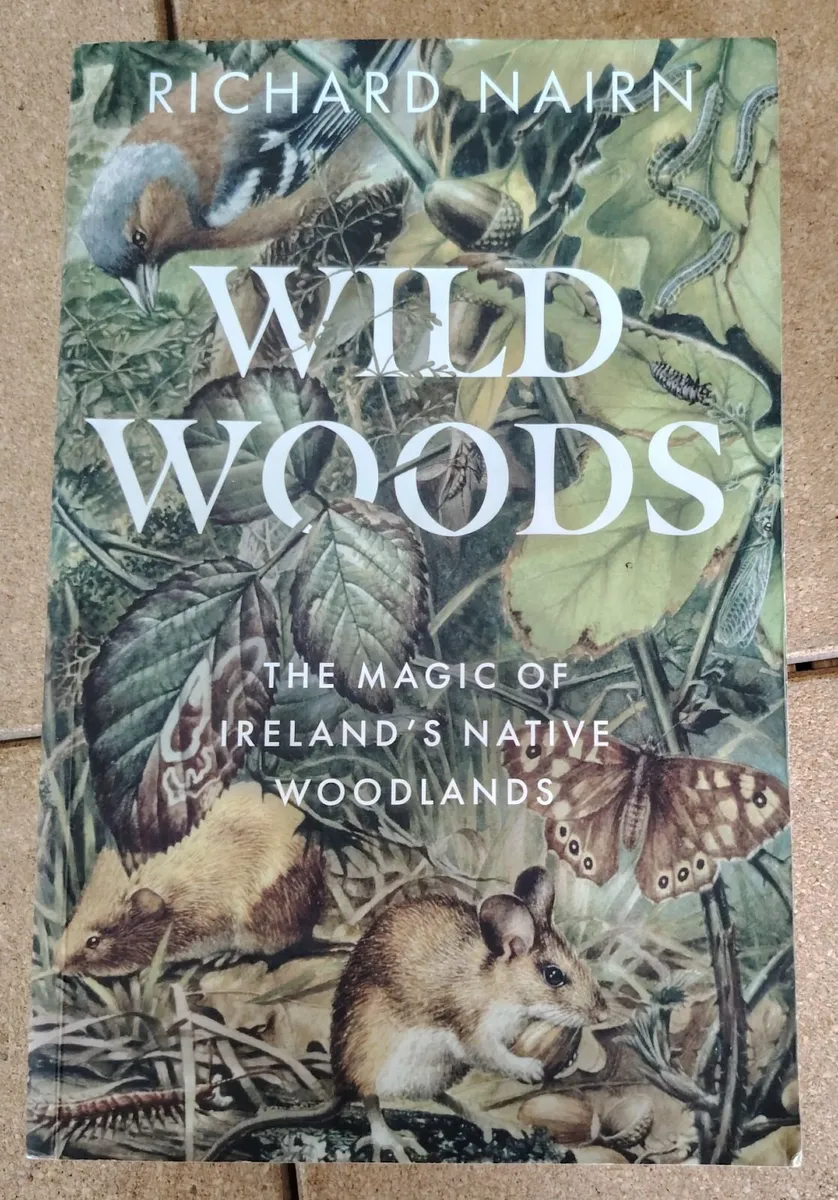 Wild Woods: The Magic of Ireland’s Native Woodland - Image 1