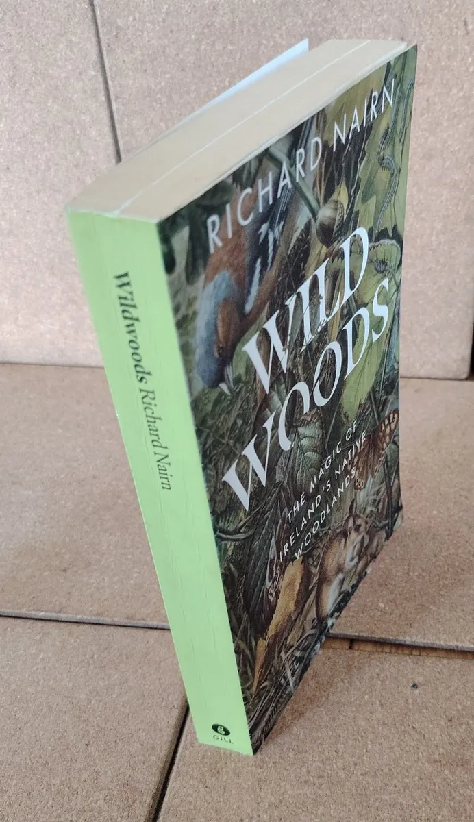 Wild Woods: The Magic of Ireland’s Native Woodland - Image 4