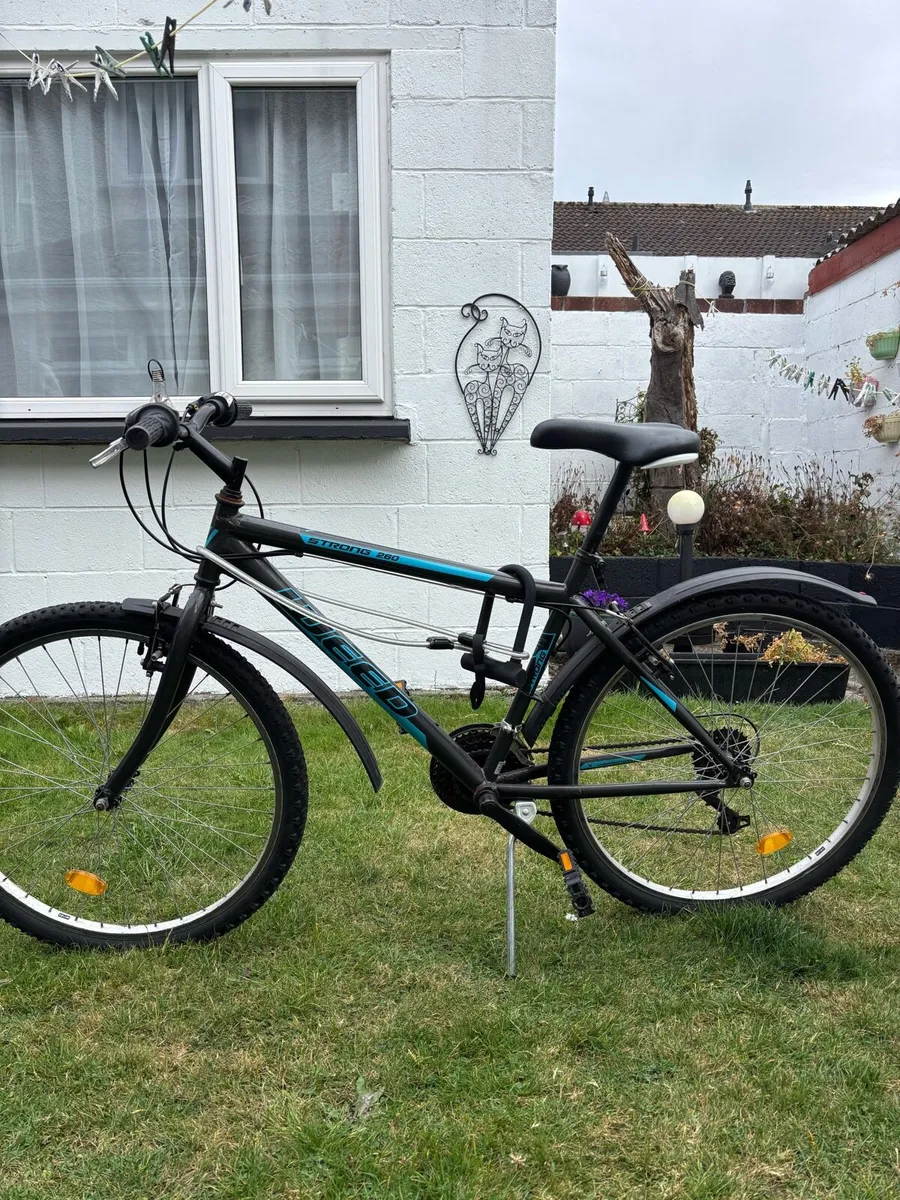 Bike - Image 1