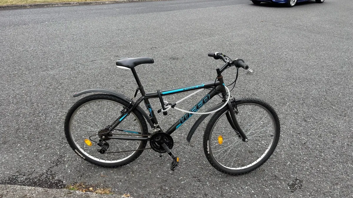 Bike - Image 3