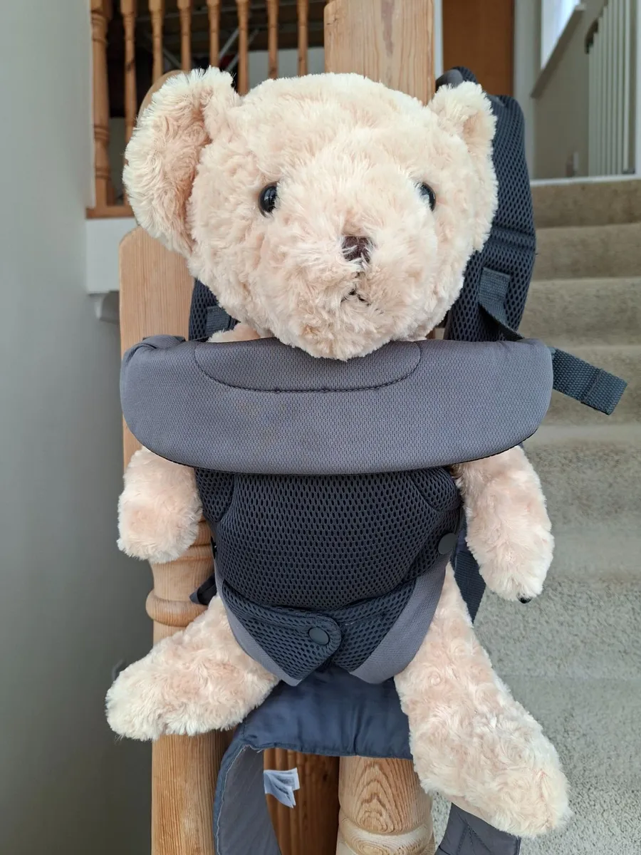 Baby carrier - Image 1