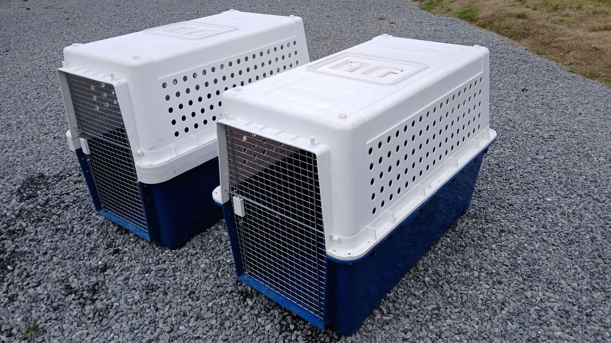 Dog Flight Travel Crate - Image 2
