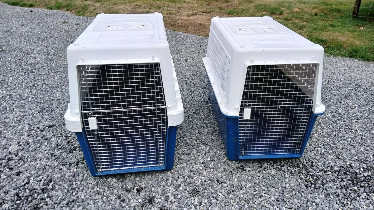 Dog Flight Travel Crate - Image 1