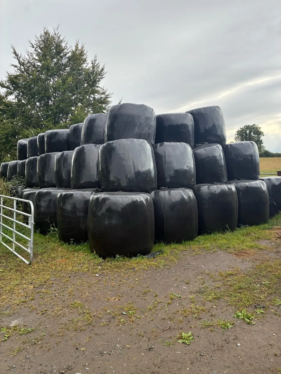 4x4 silage