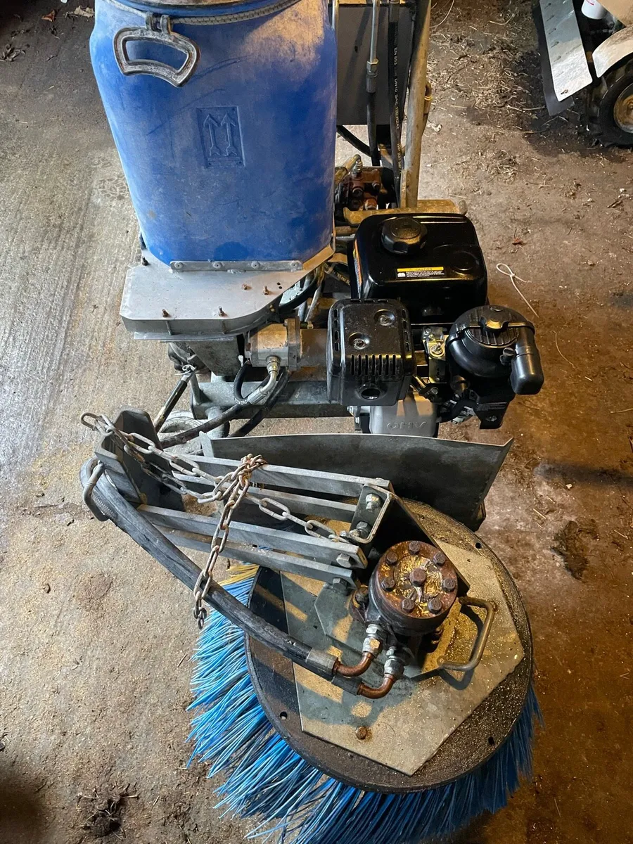 Used Daisy Beds - Image 3