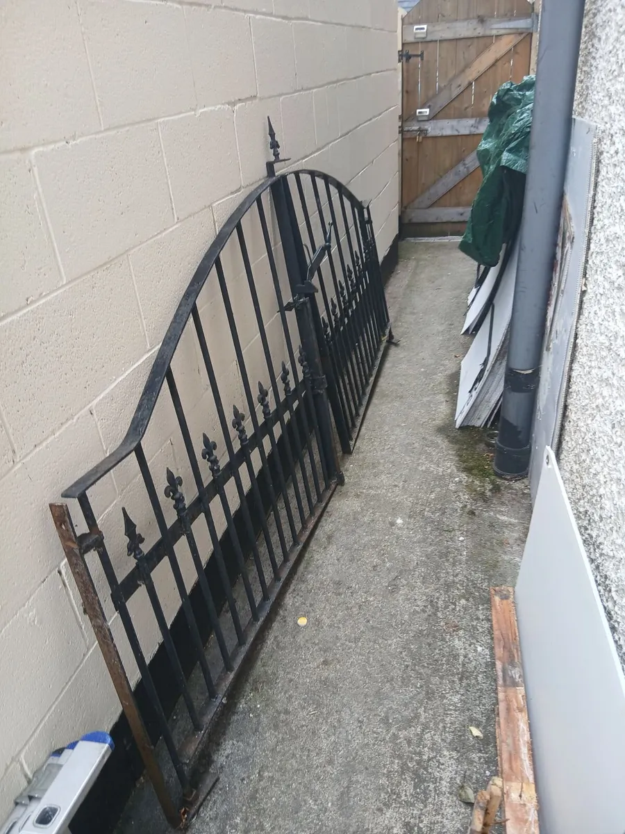 Garden/Driveway Gates - Image 1